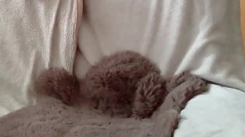 h0mi4u online show from 04.23.26