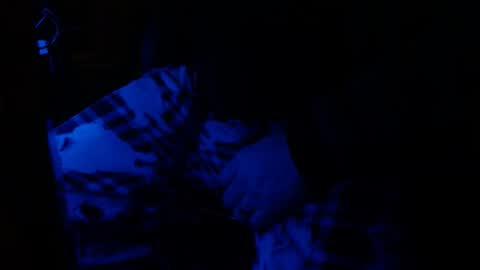 Snapshot of h2omygod chatting on 01.25.25 H2omygod online show from 01.25.25