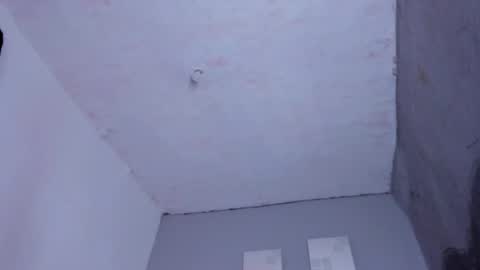 Stacy  online show from 12.12.24