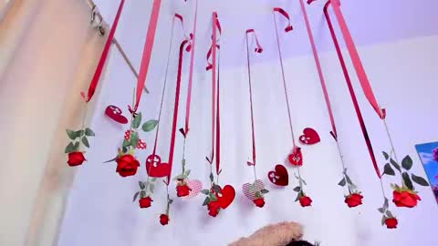 hailey_hadid online show from 02.11.26