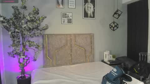 haileystonei online show from 12.14.25