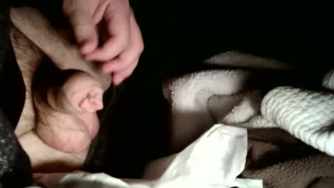 Snapshot of hailhail2 chatting on 02.02.26 share9 online show from 02.02.26