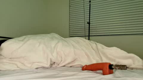 HailWilds online show from 02.18.26