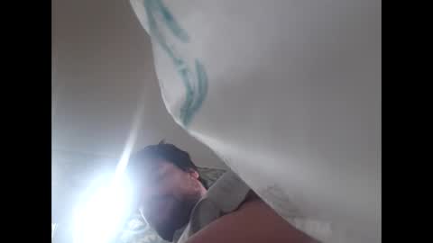 hairyfatboy01 online show from 06.11.26