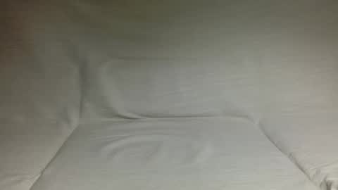 Snapshot of hairyguy288 chatting on 04.01.26 hairyguy online show from 04.01.26