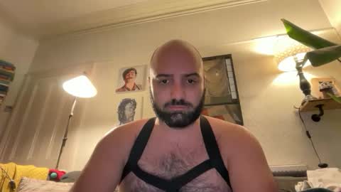 Hairy Guy online show from 02.16.26
