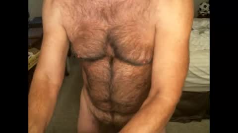 Snapshot of hairypecsguy chatting on 11.02.25 Hairy pecs online show from 11.02.25