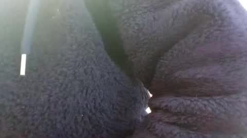 hairypussyxl online show from 01.13.25