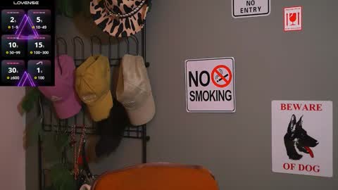 Snapshot of hairyrobxxx chatting on 11.20.25 HairyRobXxX online show from 11.20.25