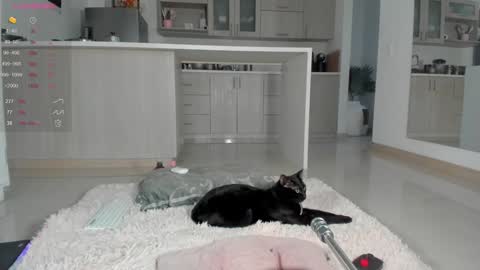 Snapshot of halliee chatting on 12.12.24 insta Laupalacio777Next stream 01th December online show from 12.12.24