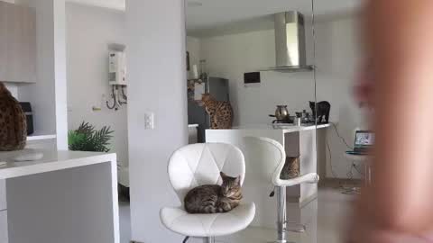 Snapshot of halliee chatting on 02.23.25 insta Laupalacio777Next stream 01th December online show from 02.23.25