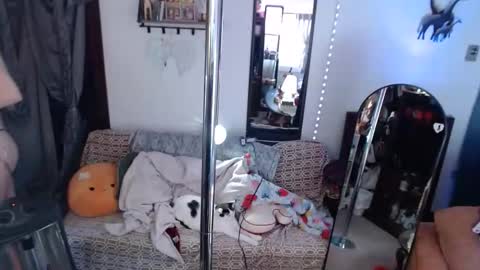 halovalentine online show from 02.26.26