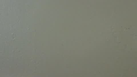 hamhead71 online show from 02.15.25