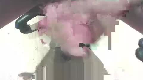 hammerhard1 online show from 02.14.26