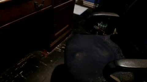 hammerhead973 online show from 12.22.25