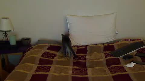 hammerthatthang73 online show from 10.14.25