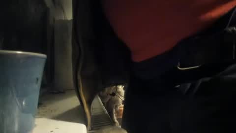 Snapshot of handncocknocum chatting on 12.08.24 handncocknocum online show from 12.08.24