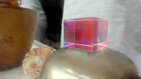 Snapshot of handncocknocum chatting on 12.26.24 handncocknocum online show from 12.26.24