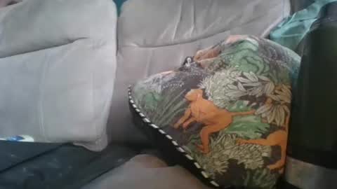 Snapshot of handncocknocum chatting on 01.06.26 handncocknocum online show from 01.06.26