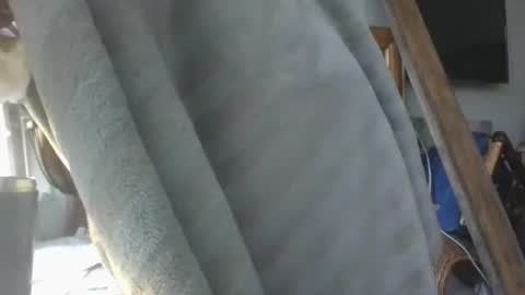 Snapshot of handncocknocum chatting on 01.16.26 handncocknocum online show from 01.16.26