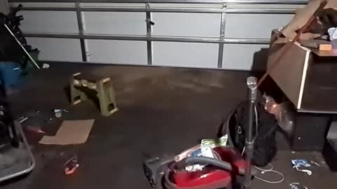 handsomerob42 online show from 11.23.25