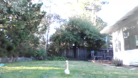 Snapshot of handysmurf chatting on 12.04.24 HandySmurf online show from 12.04.24