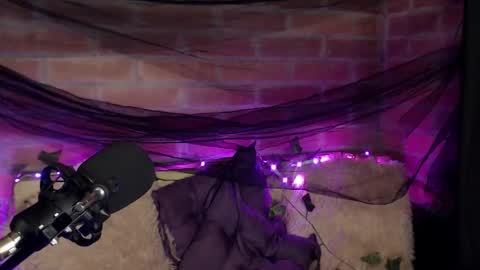 Snapshot of hannah_valhalla chatting on 12.16.25 Hannah online show from 12.16.25