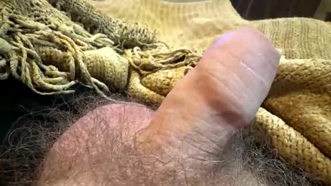 Snapshot of happygerman68 chatting on 09.14.25 happygerman68 online show from 09.14.25