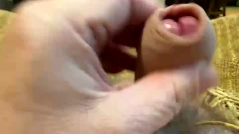 Snapshot of happygerman68 chatting on 10.27.25 happygerman68 online show from 10.27.25