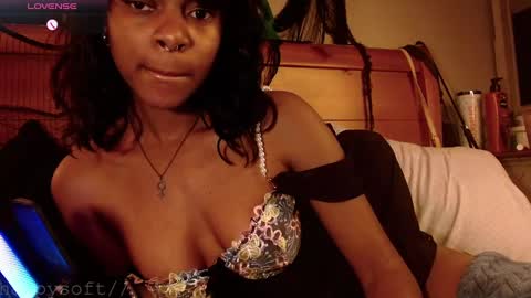 meatwad online show from 02.28.25