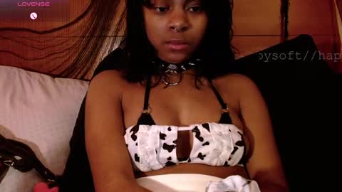 meatwad online show from 03.03.25