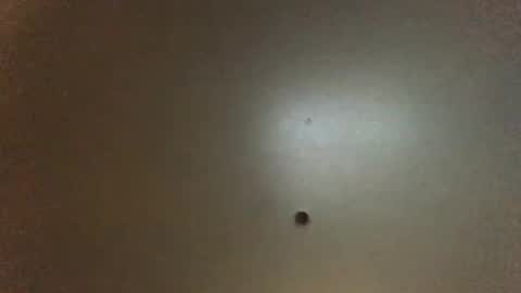 For You online show from 02.15.26