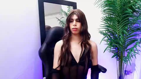 Harper  online show from 10.11.25