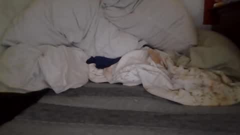 Snapshot of harry1cannary chatting on 10.07.25 harry1cannary online show from 10.07.25