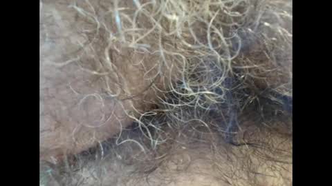 harry_banana online show from 09.11.25