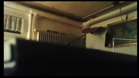 hot n  nasty online show from 12.08.24