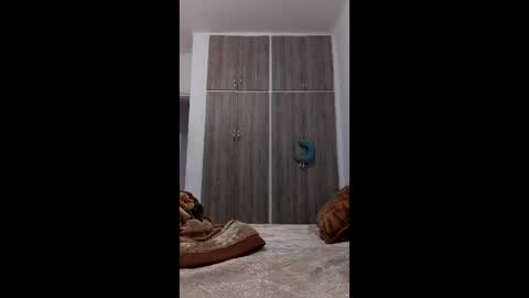 Snapshot of hassane12 chatting on 04.02.26 hassane12 online show from 04.02.26