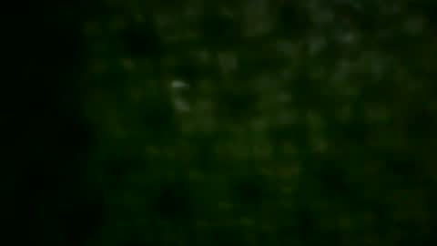 hastra hot online show from 05.31.26