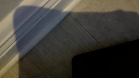 haufd online show from 01.19.26