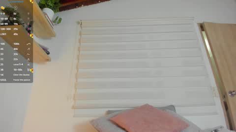 Snapshot of hazel_shy chatting on 12.13.24 Im Hazel online show from 12.13.24