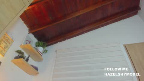 Snapshot of hazel_shy chatting on 12.22.24 Im Hazel online show from 12.22.24