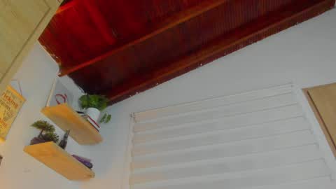 Snapshot of hazel_shy chatting on 01.08.25 Im Hazel online show from 01.08.25