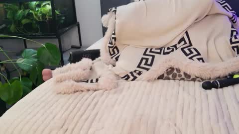 Hazeleo online show from 03.13.26