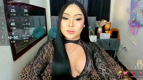 HAZEL MADONNA online show from 06.11.26