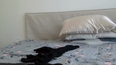 heatwavee online show from 02.02.25