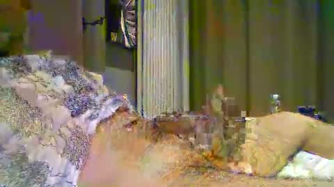 Snapshot of heddamedda59 chatting on 04.03.26 heddamedda59 online show from 04.03.26