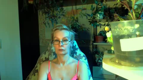 Helga online show from 05.08.26