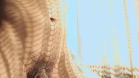 Helio online show from 02.03.26