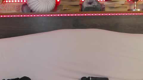 Snapshot of hellendesire chatting on 02.22.25 online show from 02.22.25