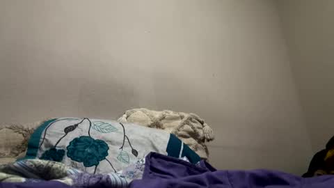 Snapshot of hellokitten123 chatting on 01.28.25 hellokitten123 online show from 01.28.25